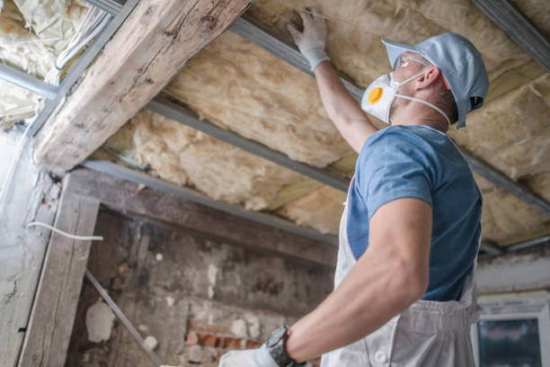 Best Affordable Insulation Services  in Trevose, PA