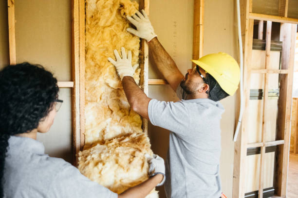 Best Insulation Removal  in Trevose, PA